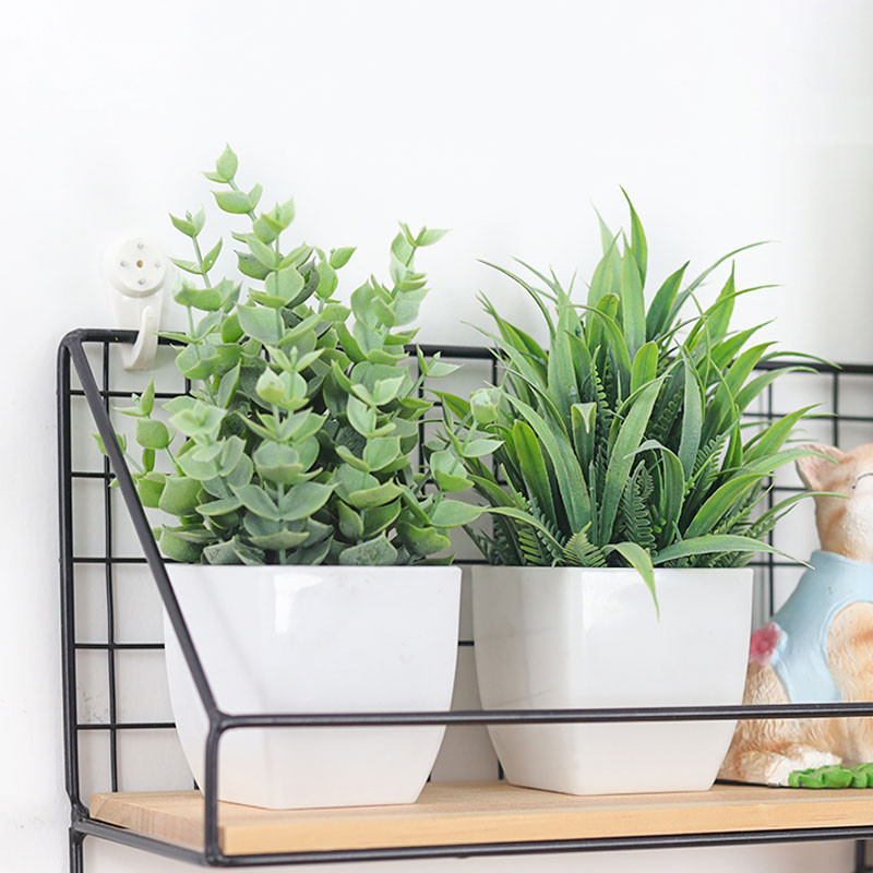 รูปภาพ 9