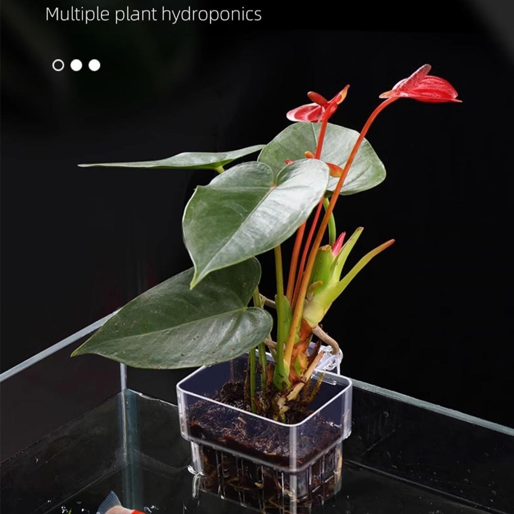 BEBETEB ที่วางต้นไม้ตู้ปลาแบบแขวน ถ้วยรองรับไฮโดรโปนิกส์ Al Fish Aquarium Water Grass Plang Cup ภูมิทัศน์ตกแต่ง - รูปที่ 5