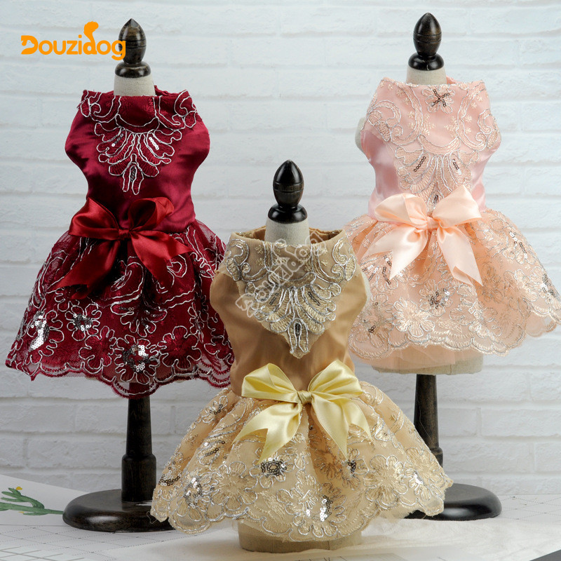 Small Bichon Teddy Dog Pet Dog Cat Cat Gorgeous Noble Elegant Dinner Dress Dress