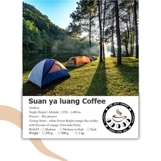 เมล็ดกาแฟคั่ว Arabica ( น่าน full city) ดอยสวนยาหลวง จากธรรมชาติ