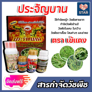 ชุดประจัญบานเข้แดง สูตรใหม่ ชุดกำจัดหญ้าในนาข้าวเห็นผลดี สารกำจัดวัชพืช กำจัดหญ้าข้าวนกสีชมพู หญ้าแดง ผักปอดนา กกต่างๆ