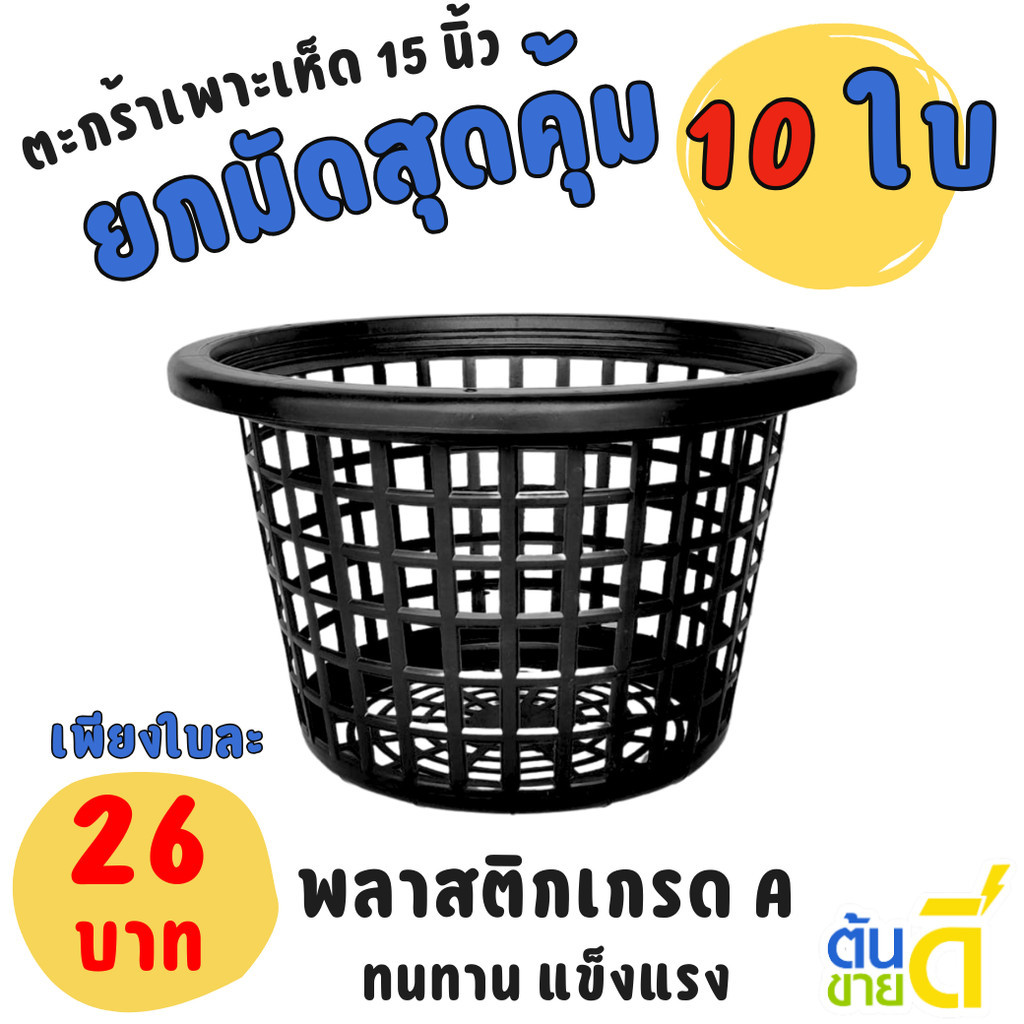 ตะกร้าเฟิร์น ตะกร้าเพาะเห็ด เข่งปลูกเห็ด ขนาด 15 นิ้ว Bundle 10 ใบ ชิ้น อัน