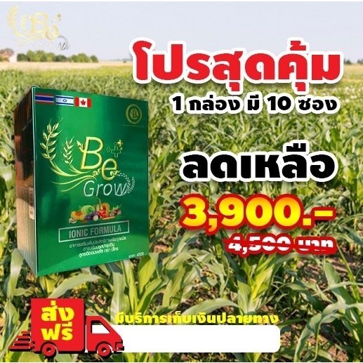 ปุ๋ยชีวภาพ Be Grow บีโกร อาหารเสริมพืชสารเพิ่มประสิทธิภาพพืช 1 กล่อง 10ซอง Kaideeshop888 ของแท้100%