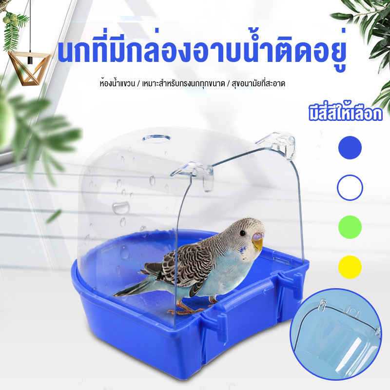 ✈️ห้องอาบน้ำนก อุปกรณ์ให้น้ำนก ขวดน้ำนก กล่องอาบน้ำนก อุปกรณ์เลี้ยงนก อุปกรณ์สำหรับ นกแก้ว นกหงส์หยก นกเลิฟเบิร์ด