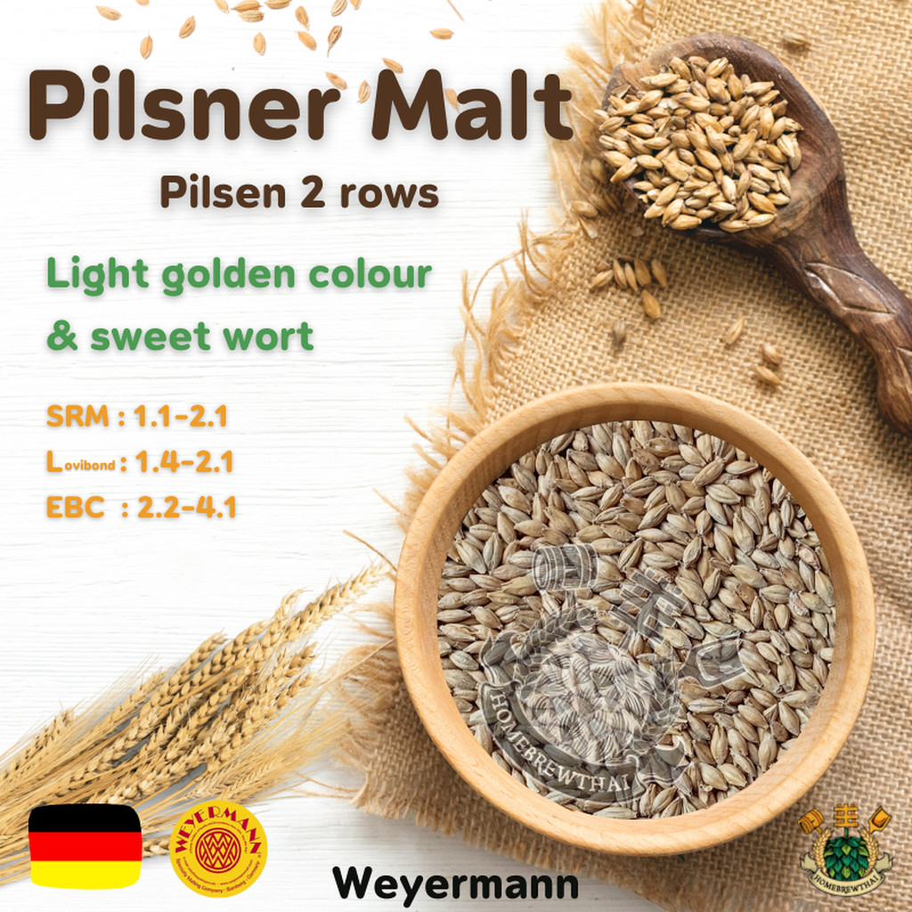Pilsner malt ( Weyermann ) Pilsen/Lager