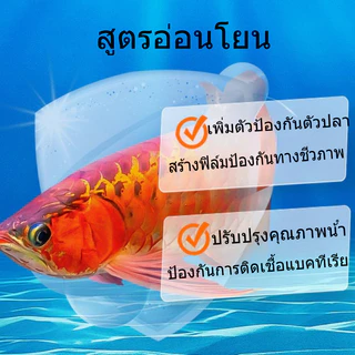 CODน้ำยาปรับสภาพน้ำ จุลินทรีย์ปรับสภาพน้ำใส ดับกลิ่นเหม็น 12 ชั่วโมงใวิน้ำใสขึ้น จุลินทรีบ่อปลา แบบเข้มข้น ละลายอุจจาระ