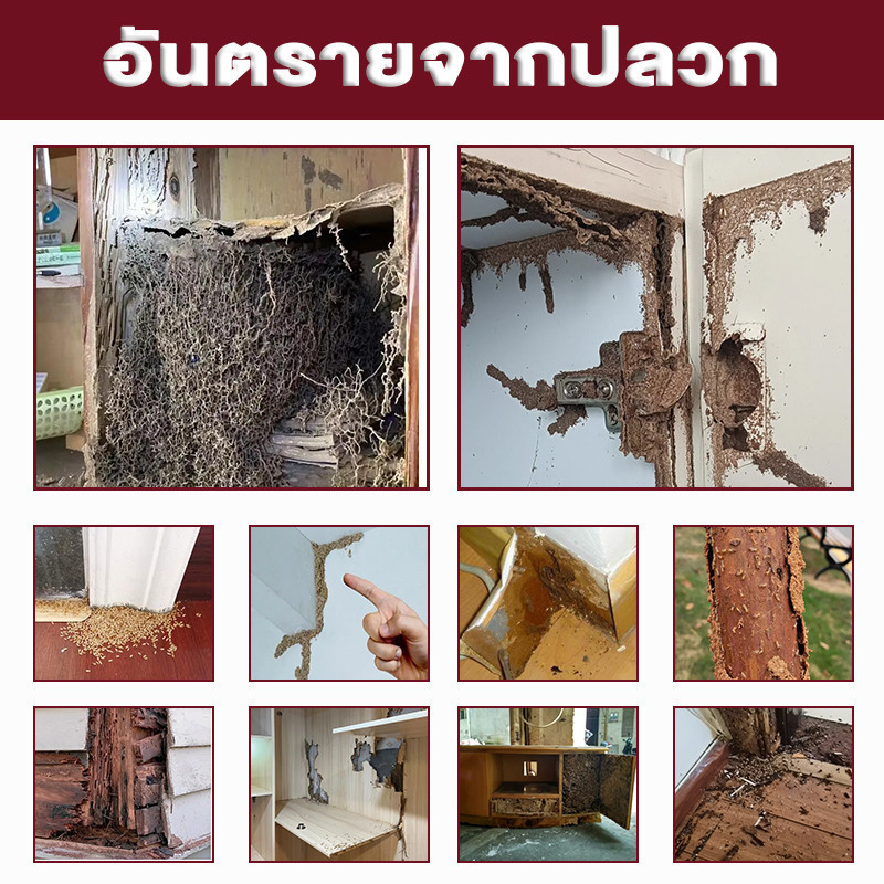 น้ำยากำจัดปลวก 20g ผงกำจัดปลวก ไม่มีกลิ่น ปลวกกินแล้วไปตายยกรัง - รูปที่ 6