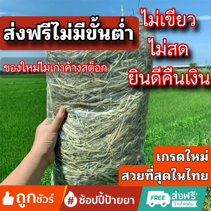 ถุกที่ศุดในชอบปี้‼️  timothy 1กก ทิมโมธี ทิมโมธี  ไม่เขียวหอม เราไม่ขาย หญ้ากระต่าย