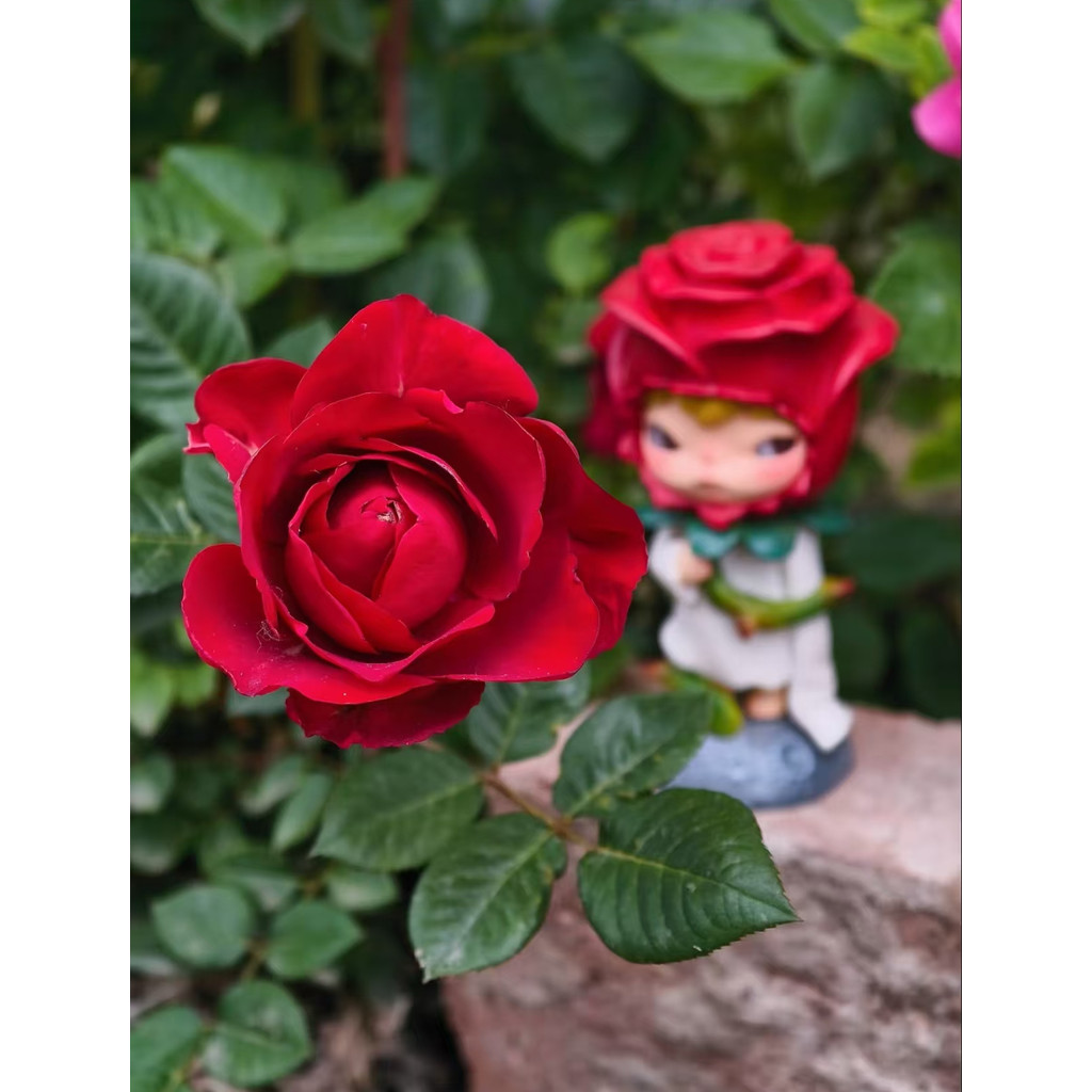 Ono Hirono x Le Petit Prince Series รูป Mystery Box เจ้าชายน้อย