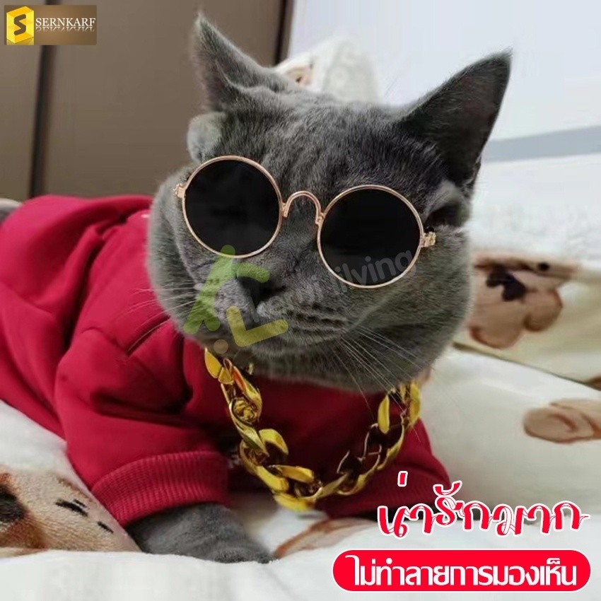 แว่นแมว แว่นแฟชั่นแมว แว่นตากันแดดแมว สำหรับสัตว์เลี้ยง Pet glasses แว่นกลม มีหลายแบบให้เลือก แว่นกันแดดคอสเพลย์ แว่นหมา