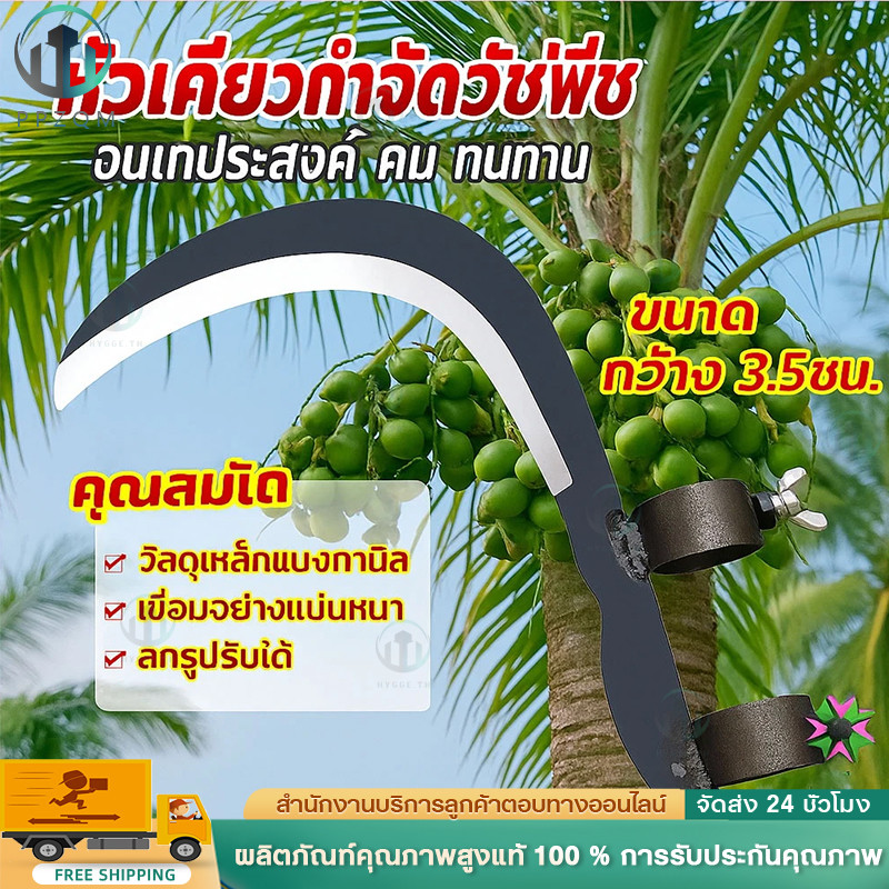 【สินค้ามีในสต็อก‌】มีดขอชัก มีดขอโค้ง มีดขอ มีดพร้า มีดขอชักกล้วย ตัดแต่งใบกล้วย เคียวตัดทางปาล์ม มีดขอกล้วย มีดทำสวน