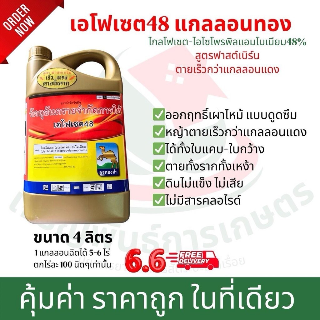 เอโฟเซต48 แกลลอนทอง พรีเมียม สูตรฟาสต์เบิร์น ออกฤทธิ์แบบดูดซึม กำจัดวัชพืชทุกชนิด