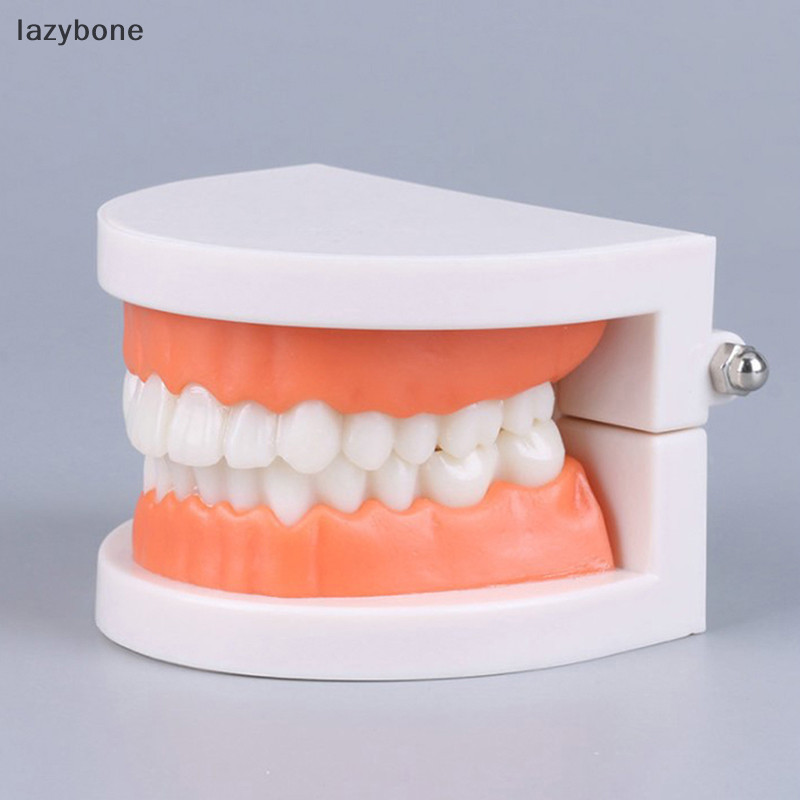{LZ} ฟันมาตรฐานรุ่นผู้ใหญ่มาตรฐาน Typodont Demonstrationฟันปลอมรุ่นเข้ากันได้เด็กการสอนทําความสะอาดจอแสดงผล {lzybone}