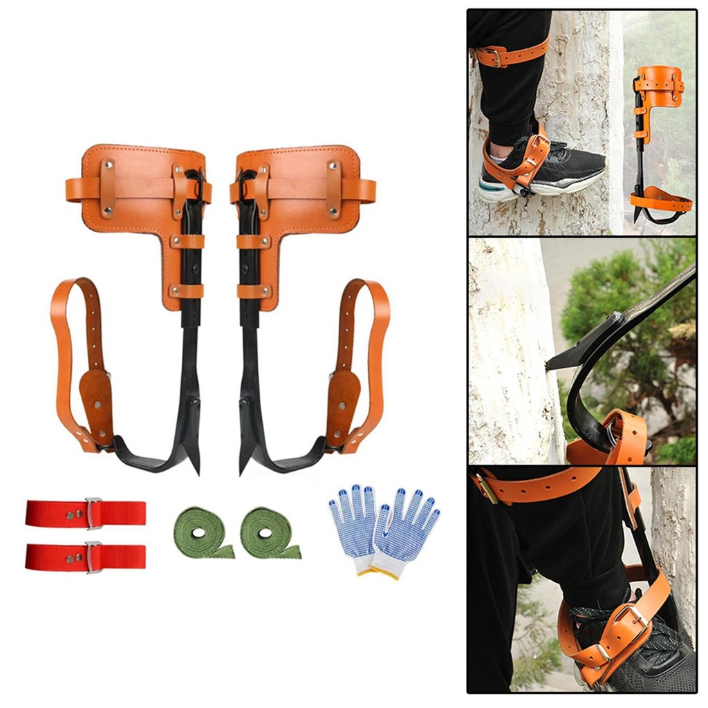 [Lszcx6l] สายรัดสแตนเลสปีนต้นไม้พร้อมถุงมือ Spikes Tree Gripper