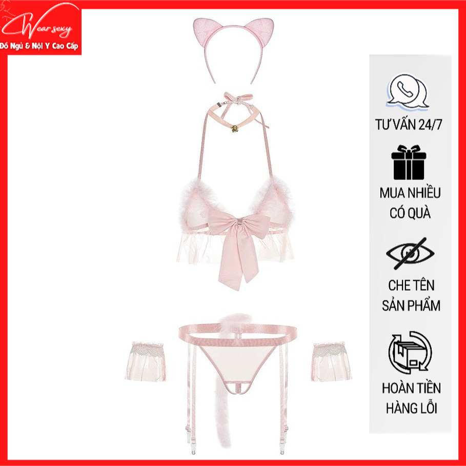 คอสเพลย์ 5 รายละเอียดแมวน้อยสุดเซ็กซี่ MS1219 ใหม่ สีชมพู รุ่น [CWEAR.SEXY_PAYWEAR & ชุดชั้นในคุณภาพ