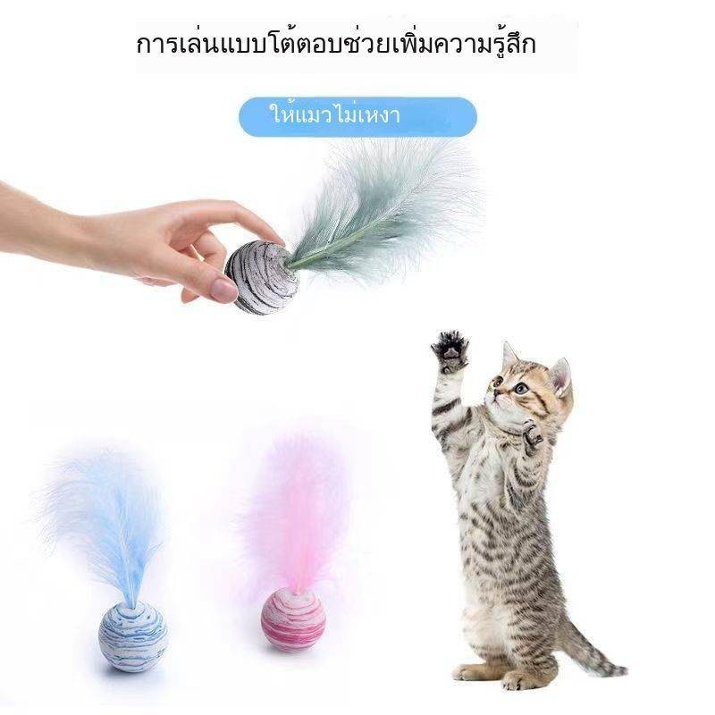 อุปกรณ์สัตว์เลี้ยง ของเล่นแมว Starry Sky Ball และ Feather วัสดุ EVA น้ําหนักเบาลูกบอลโฟมโยนของเล่น