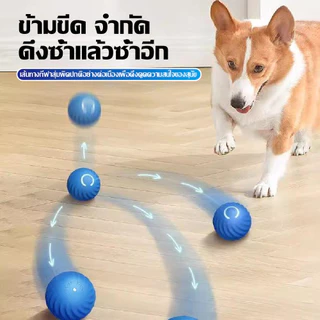 ลูกบอลไฟฟ้าอัตโนมัติ-พอร์ต-USB-สําหรับฝึกสุนัข-แมว
