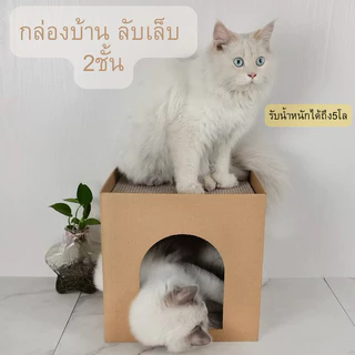 บ้านกล่องลับเล็บแมว ของเล่นแมว กล่องลับเล็บ ที่ฝนเล็บแมว คอนโดแมว ที่ลับเล็บแมว