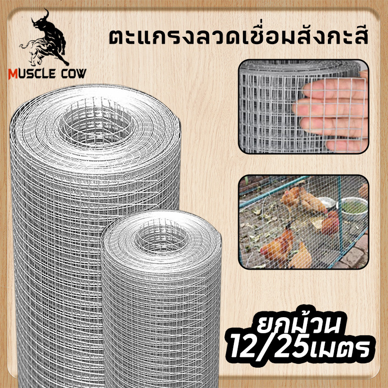 COW KING ลวดตาข่ายกรงไก่ ล้อมไก่ รั้วบ้าน 23M รั้วตาข่าย กรงไก่ กันงู กันหนู ดักสัตว์ ตะแกรง Welded wire mesh galvanized