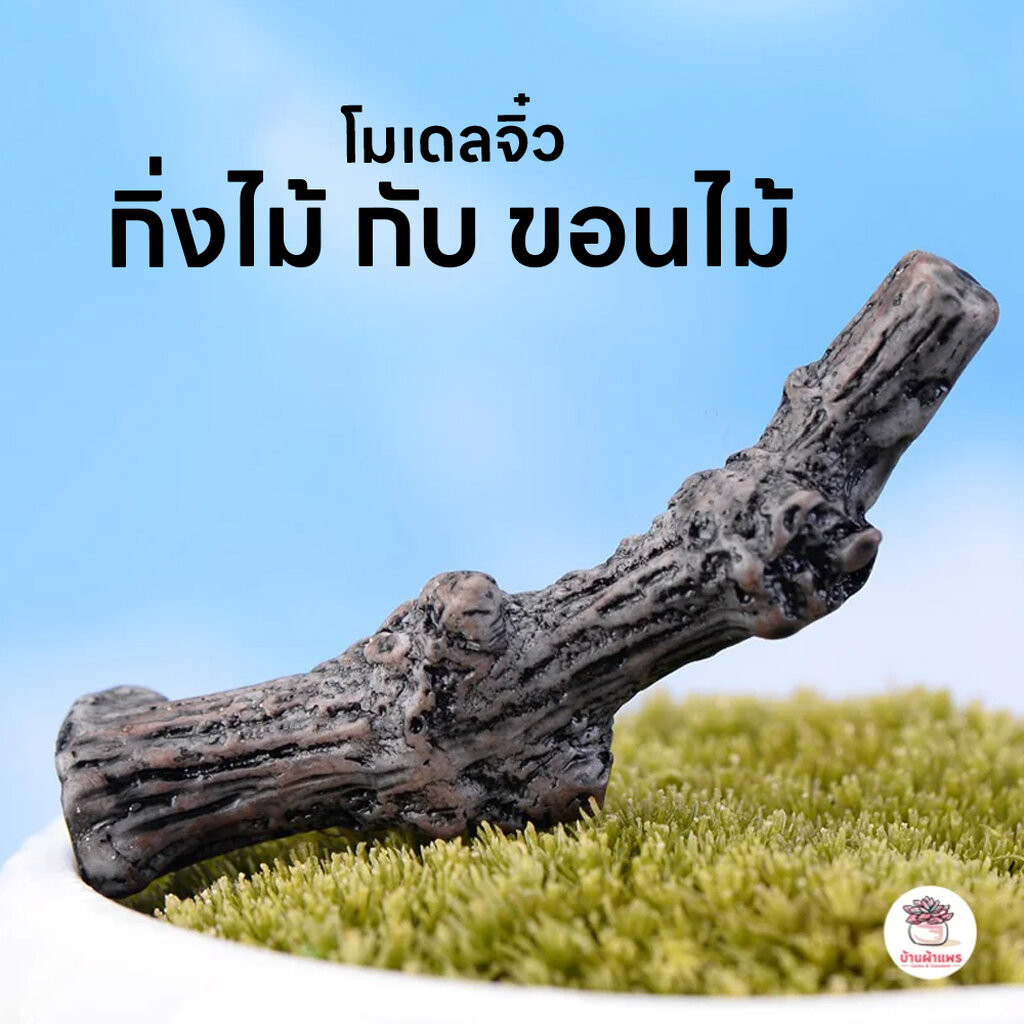 กิ่งไม้ กับ ขอนไม้ ตุ๊กตาจิ๋ว โมเดลจิ๋ว แต่งสวน ตุ๊กตาแต่งสวนจิ๋ว ตุ๊กตาจัดสวนถาด
