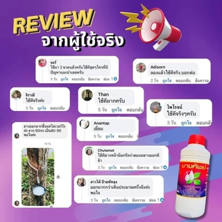 ยางทิพย์ สารชีวภาพเร่งน้ำยาง ขนาด1ลิตร ใช้ทา เพิ่มปริมาณ เพิ่มเปอร์เซนต์อย่างปลอดภัย ยาเร่งน้ำยาง ยาทาหน้ายาง