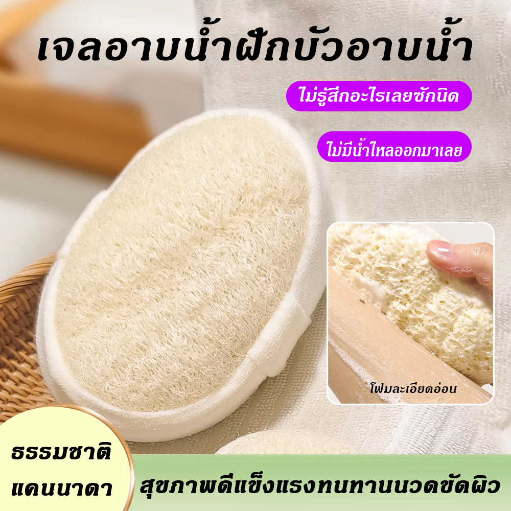 ใยบวบ ใยบวบขัดตัว ใยบวบขัดหลัง ใยบวบขัดผิว ใยขัดตัว ใยขัดตัวอาบน้ำ ใยขัด ใยขัดหลัง