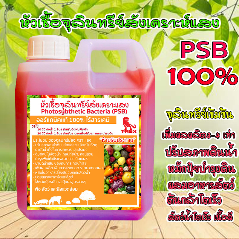 PSB จุลินทรีย์เข้มข้น ช่วยบำบัดน้ำเสีย ขยายเชื้อง่าย ใส่บ่อปลา บำรุงต้น