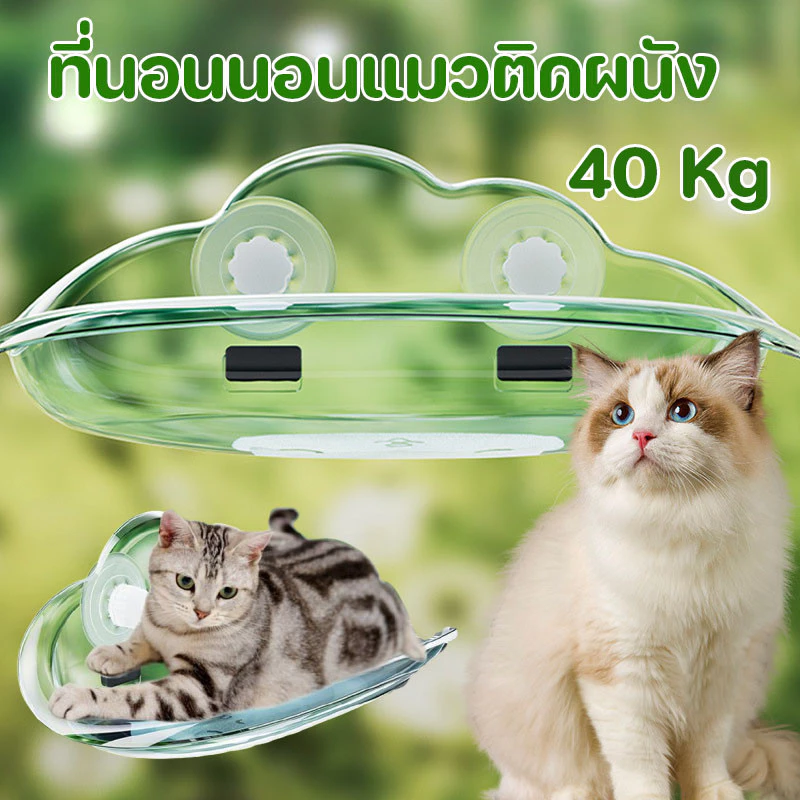 พร้อมจัดส่ง เปลแมวติดกระจก สีใส ที่นอนสัตว์เลี้ยง Cloudsbed รับน้ำหนักได้ 40 Kg