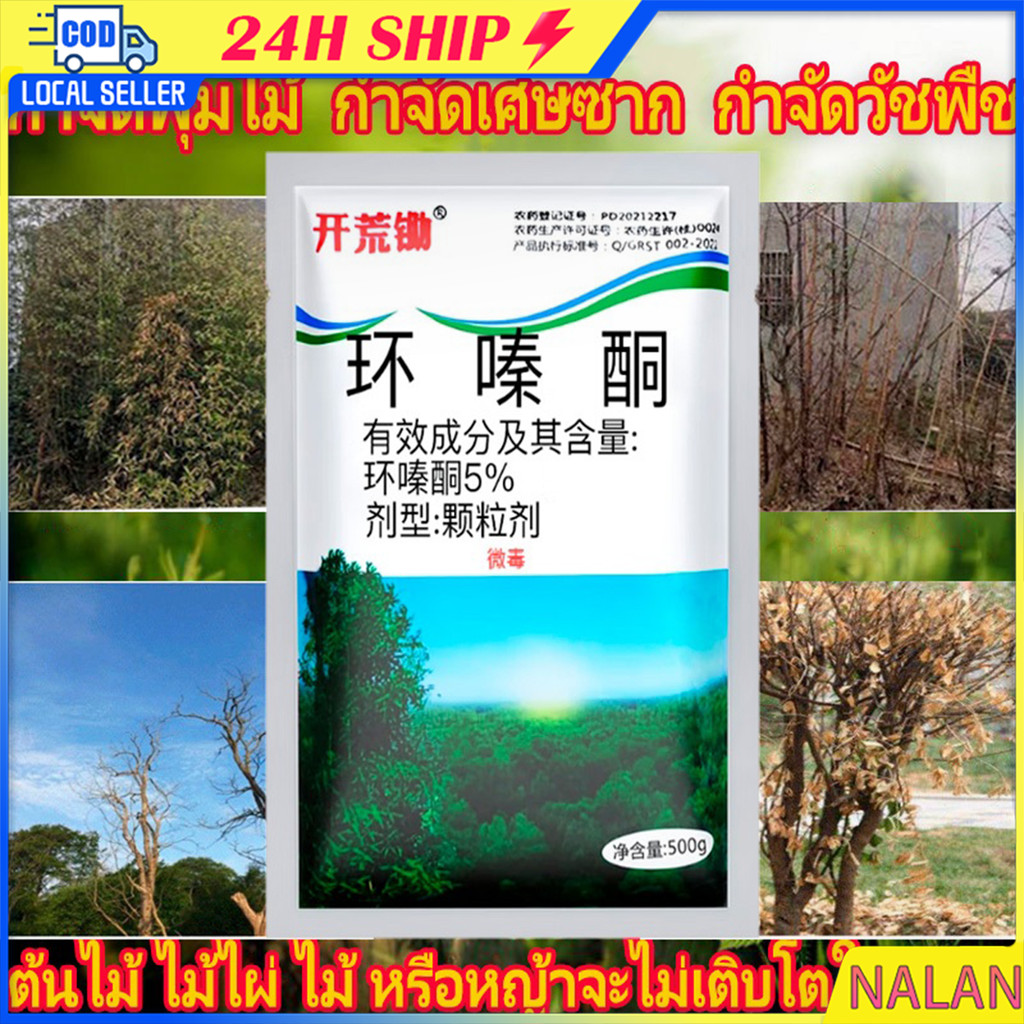 ไผ่ผงกำจัดต้นไผ่ยาฆ่าตอไม้  เฮกซาซิโนน 5%   ผลติดทนนาน 500g/1500g/2500g  ผลติดทนนาน สารกำจัดก่อไผ่
