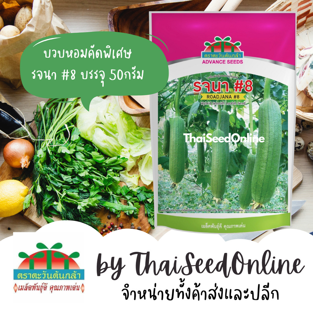 ADV บรรจุ 50กรัม เมล็ดพันธุ์ บวบหอม รจนา#8 ตราตะวันต้นกล้า