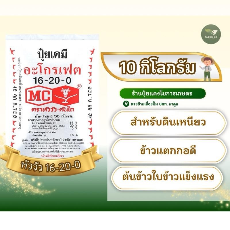 [ แบ่งขาย10กิโล ] ปุ๋ยหัววัว 16-20-0