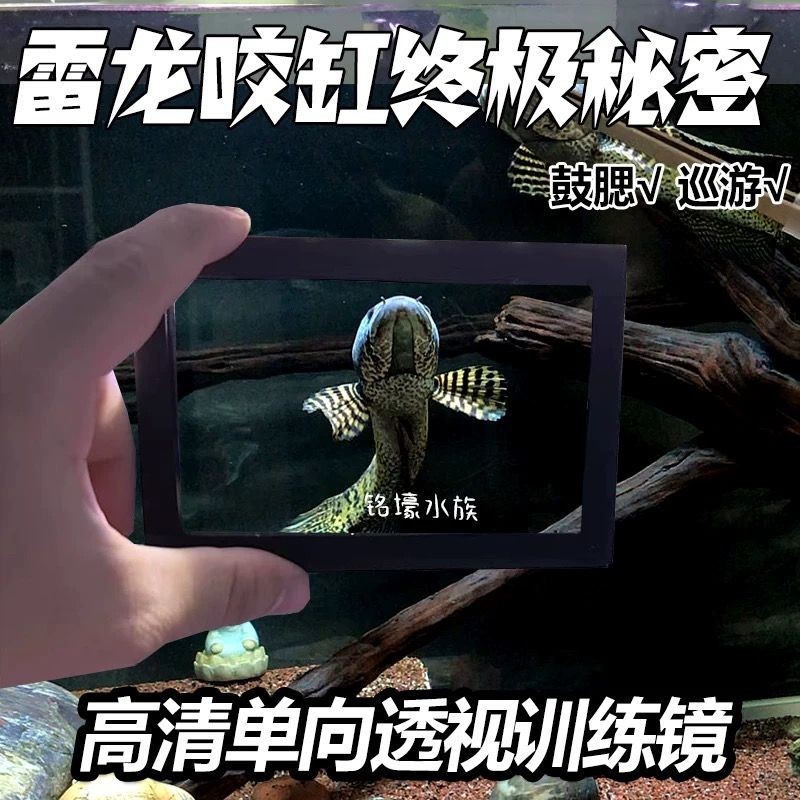 Thumbnail 7