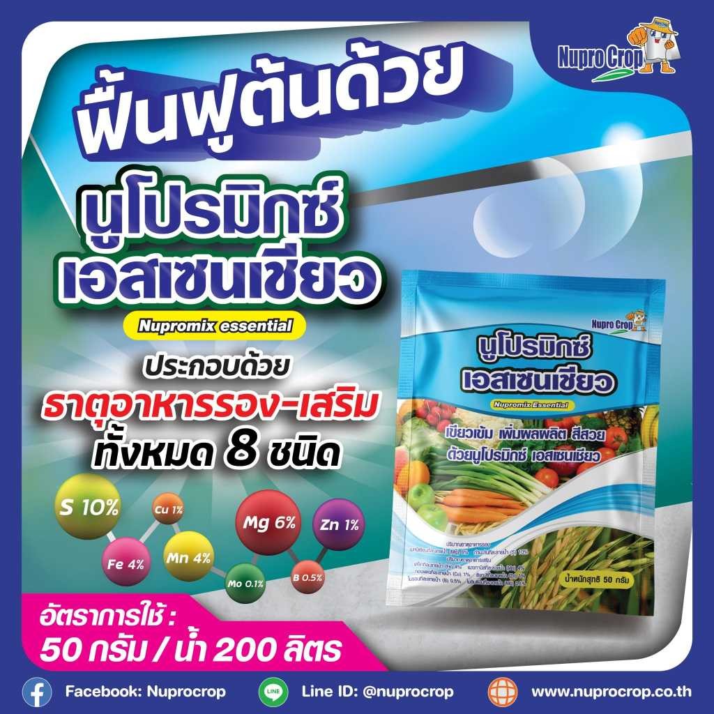 [1ซองฟ้า] นูโปรมิกซ์-เอสเซนเชียว *เขียวเข้ม เพิ่มผลผลิต สีสวย* ธาตุอาหารเสริมพืช ขนาด ซอง 50 กรัม