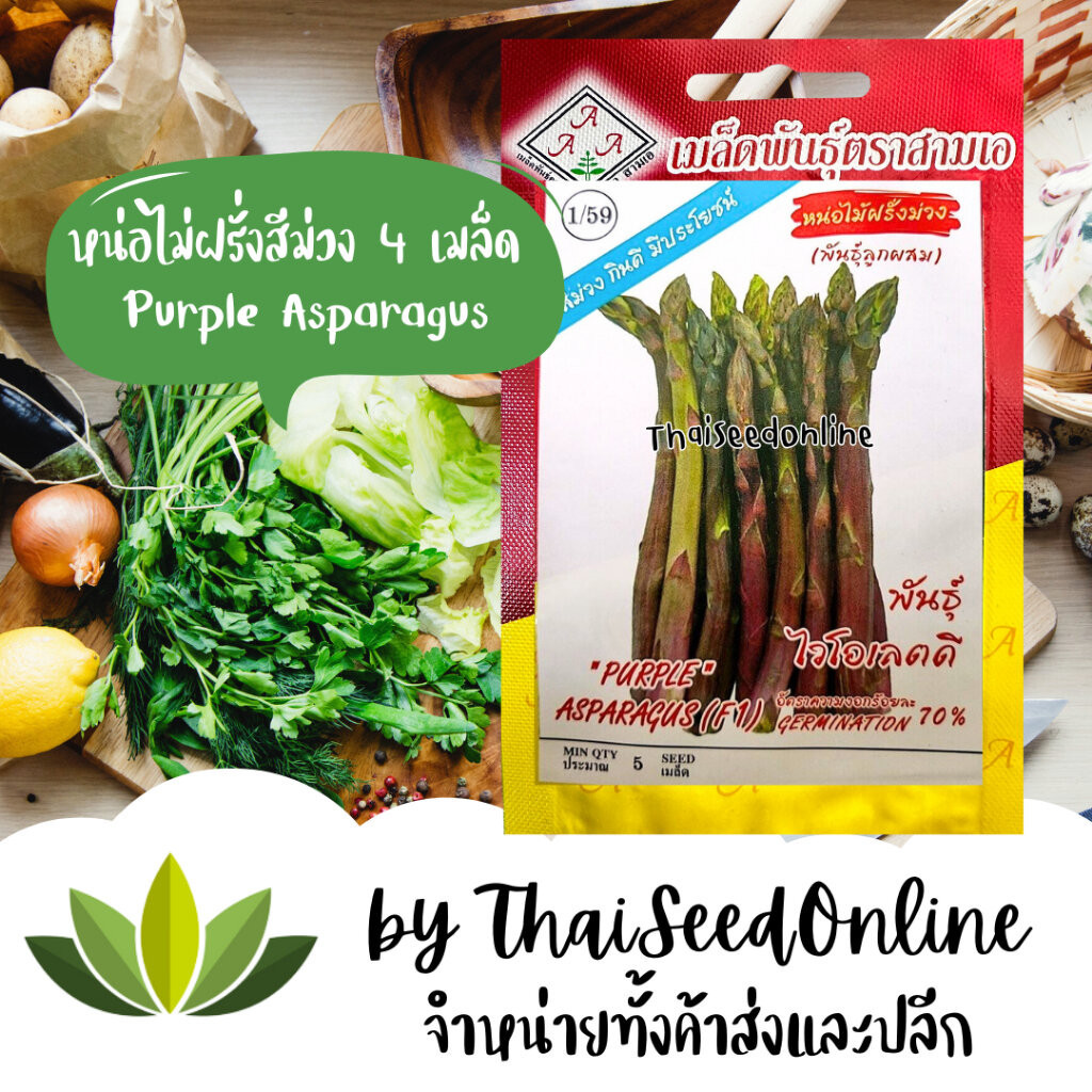 3A(สามเอ) เมล็ดพันธุ์ หน่อไม้ฝรั่งสีม่วง พันธุ์ไวโอเลตดี 5 เมล็ด ตราตองสามเครือสามเอ Purple Asparagus