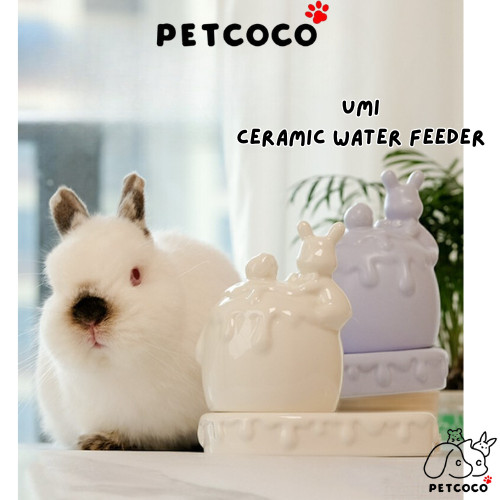 สัตว์เลี้ยงโคโคโค 🐾 อุมิ สัตว์เลี้ยงขนาดเล็กเซรามิกป้อนน้ํากระต่ายหนูตะเภา | Simple Simple Double Do