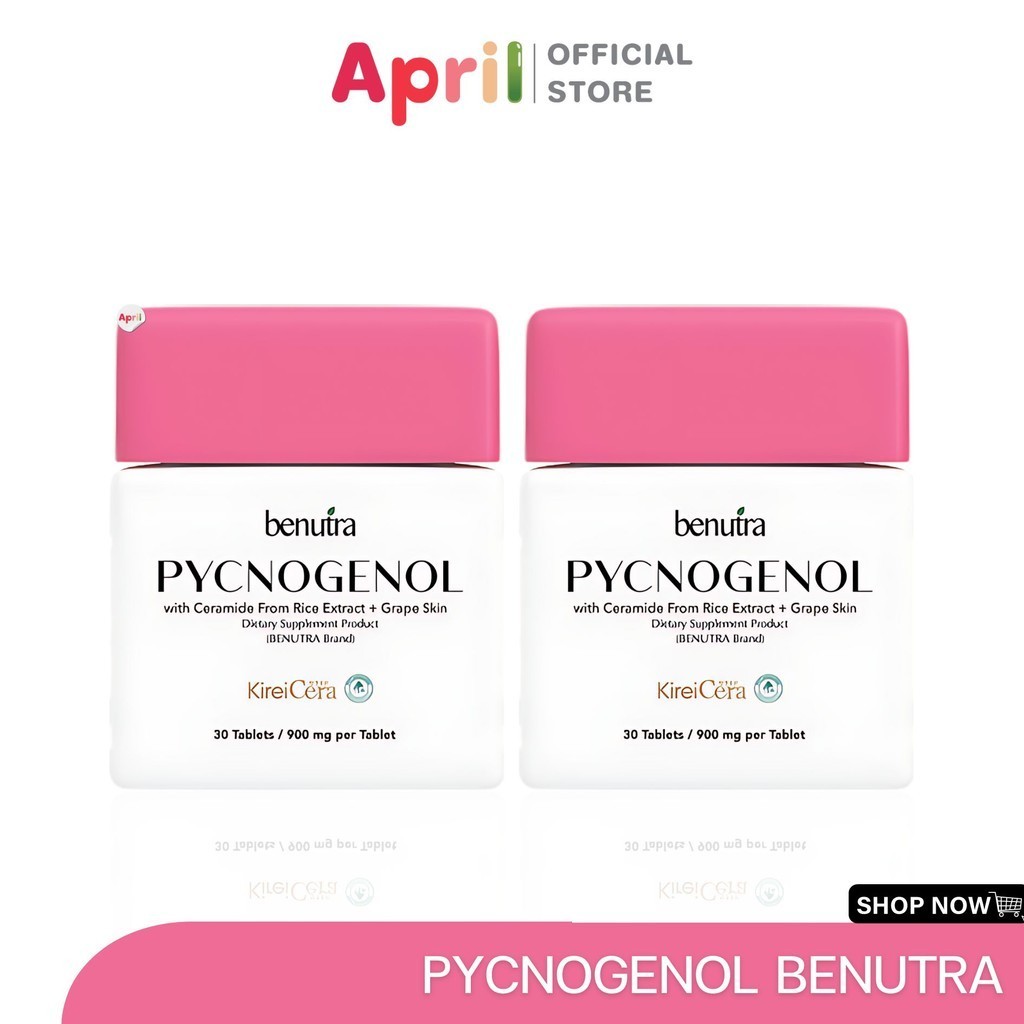 PYCNOGENOL with Ceramide พิโนจินอล บีนูทร่า benutra เม็ดเหลืองเลือนฝ้า ลดเลือนฝ้า กระ จุดด่างดำ