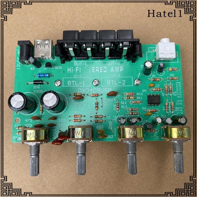 [Hatel] Dx0409 100W Channel Digital Power Audio Stereo Amplifier Board DC 12V