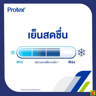 โพรเทคส์ แป้งเย็น สูตรบลอสซั่ม 280 ก. แพ็คคู่