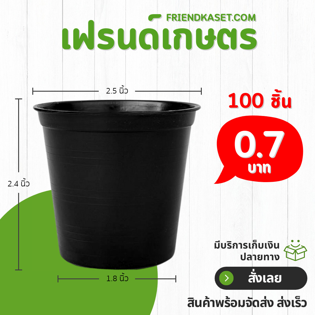 กระถาง กระถางต้นไม้ จานรองกระถางต้นไม้ 2 2.5 นิ้ว สีดำ ยกมัด 50 100 ใบ