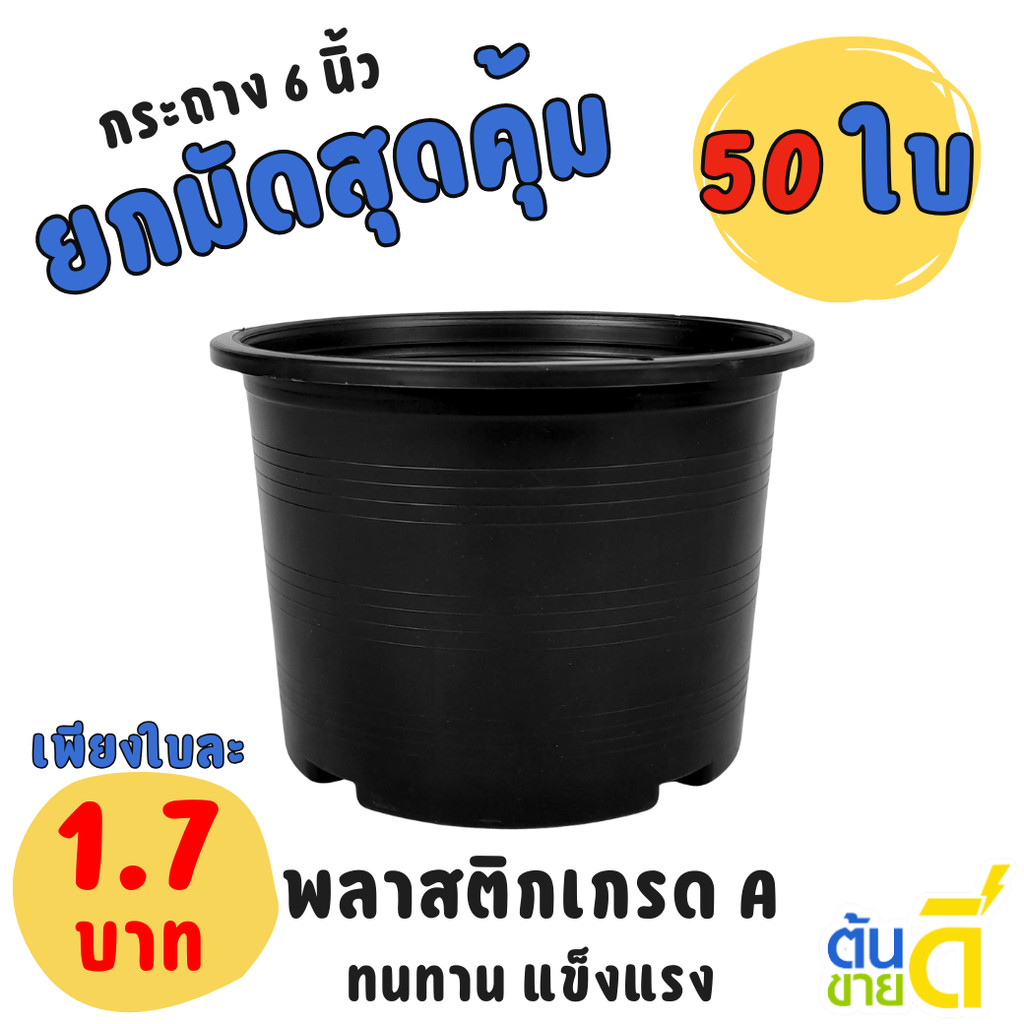 กระถาง กระถางต้นไม้ กระถางพลาสติก เบอร์ 6 นิ้ว สีดำ Bundle 50 ใบ ชิ้น อัน