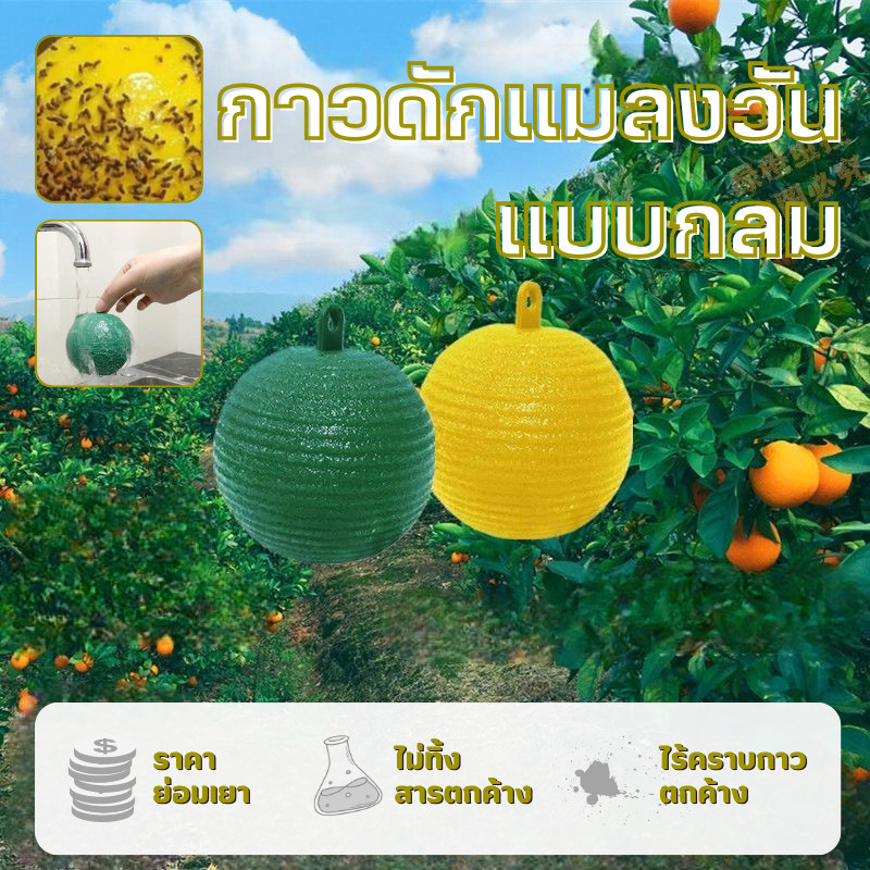 รุ่นอัพเกรด🔥 ได้ผล3ปี🦟ลูกบอลดักแมลง กวาทรงพลัง กันน้ำกันแดด กาวดักแมลงหวี่ ที่ดักแมลงวันทอง กาวดักแมลงวัน ไม่ละลายกาว