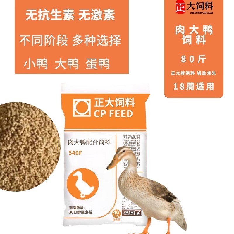 เป็ด Cole Duck 49 Food j8 Feed 5 Pets Medium Large Duck Pellets g3 Big Duck Duck Feed GNBW