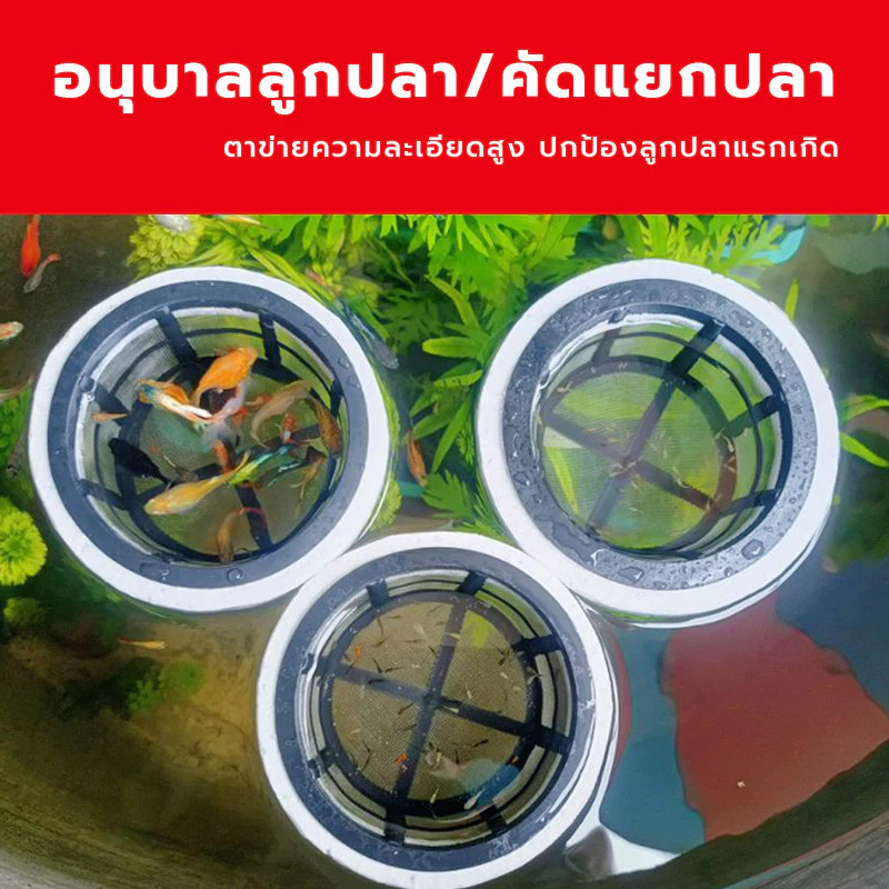 กระชังลูกปลาแรกเกิด คัดแยกปลา อุปกรณ์เพาะพันธุ์ปลา
