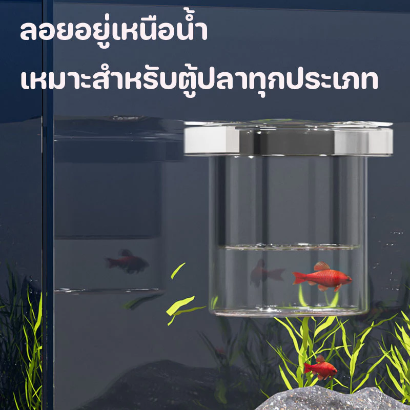 กล่องแยกปลา ตู้แยกปลาคลอดลูก กล่องแยกสำหรับถังปลา ลอยอยู่ในน้ำ ปกป้องต้นอ่อน เพิ่มอัตราการรอดชีวิตของปลา ปกป้องไข่ปลา thumbnail 8