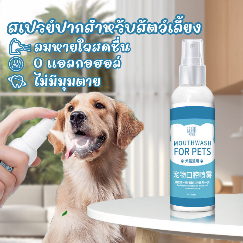 100ml สเปรย์ช่องปากสำหรับสัตว์เลี้ยง น้ำยาบ้วนปากแมว น้ํายาดับกลิ่นปาก แมว สเปรย์ดับกลิ่นปากสุนัข ขจัดแบคทีเรีย