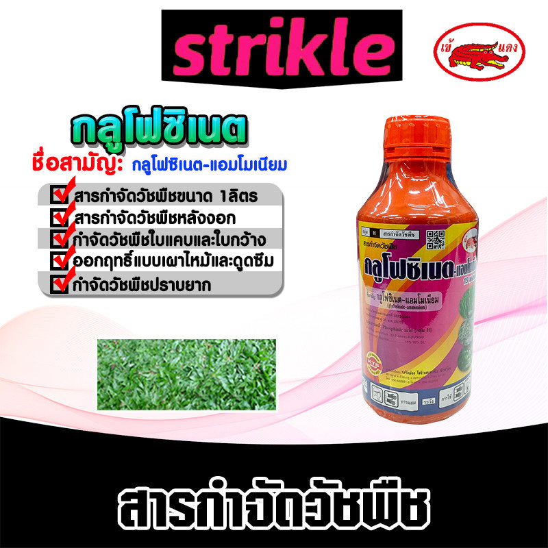 กลูโฟซิเนต-แอมโมเนียม 15 เอสแอล 1ลิตร เข้แดง ขวดส้ม กำจัดวัชพืชปราบยากและวัชพืชดื้อยาทุกชนิด