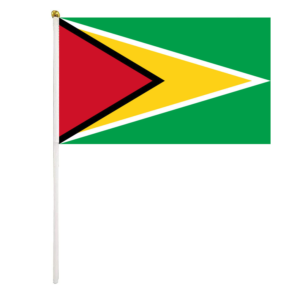 10 ชิ้น Guyana Flag National Flag