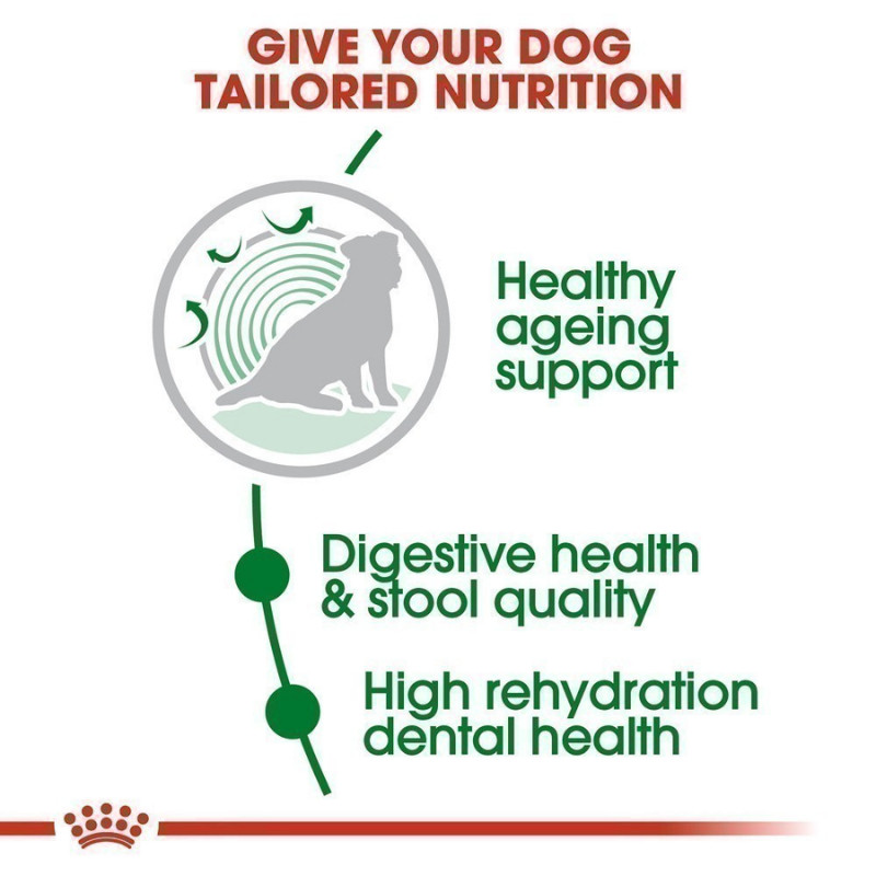 Royal Canin อาหารเม็ด อาหารสุนัข Mini Indoor Senior อาหารเม็ดสุนัขสูงวัย พันธุ์เล็ก เลี้ยงในบ้าน อายุ 8 ปีขึ้นไป 500g. — صورة 3