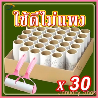 YTL【30 ชิ้นในแพ็คเกจใหญ่】 ลูกกลิ้งกำจัดขน เก็บขนและฝุ่น ลูกก…