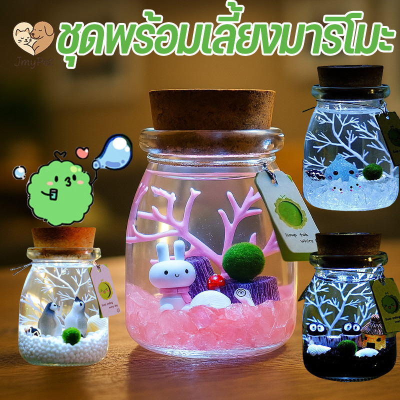 ชุดพร้อมเลี้ยงมาริโมะ พร้อ ขวด+ตุ๊กตา+ทราย+ปุ๋ย ของขวัญนำโชคจากญี่ปุ่น สวยงาม เลี้ยงง่าย คนรักต้องชอบ